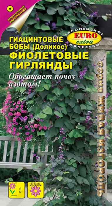 Бобы_Гиацинтовые (долихос) Фиолетовые гирлянды_1_г._Аэлита Э