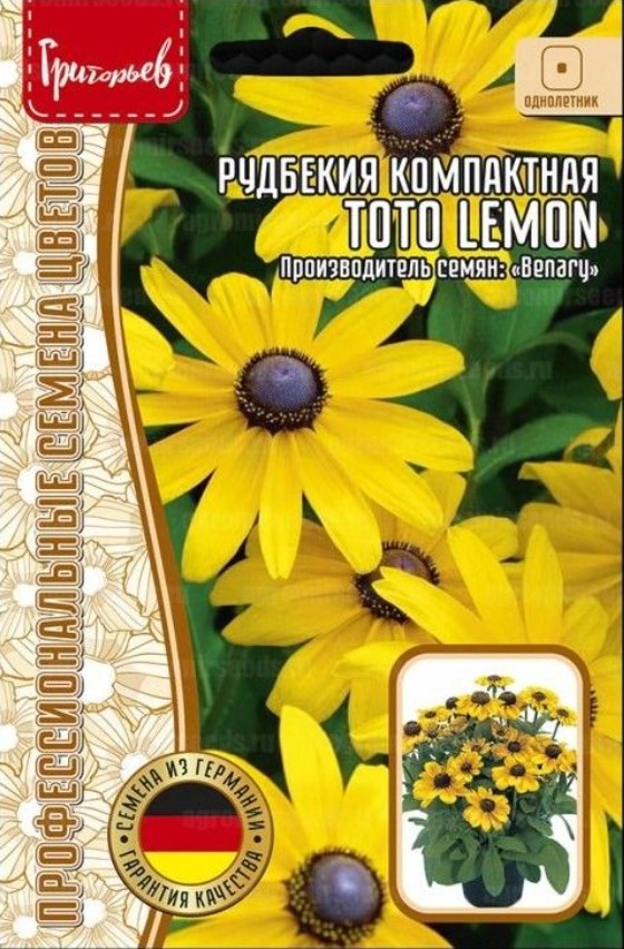 Рудбекия_Тото Лемон (Toto Lemon) б/ф_5_шт._Григорьев