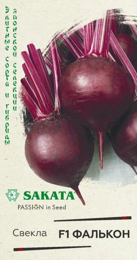Свекла_Фалькон F1 (Sakata)_1_г._Гавриш