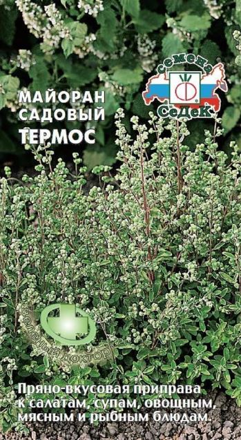 Майоран_Термос_0,04_г._Седек