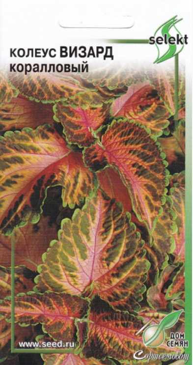 Колеус_Визард Коралловый_0,04_шт._Дом Семян С-П
