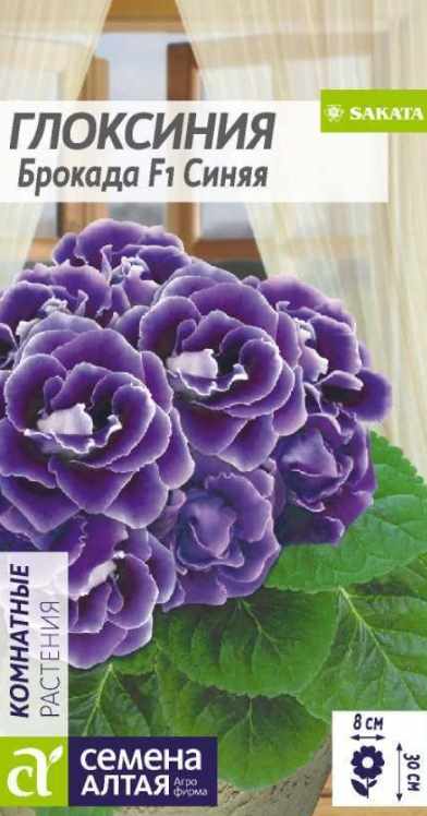 Глоксиния_Брокада Синяя F1 (махр)_0,04_шт._Семена Алтая