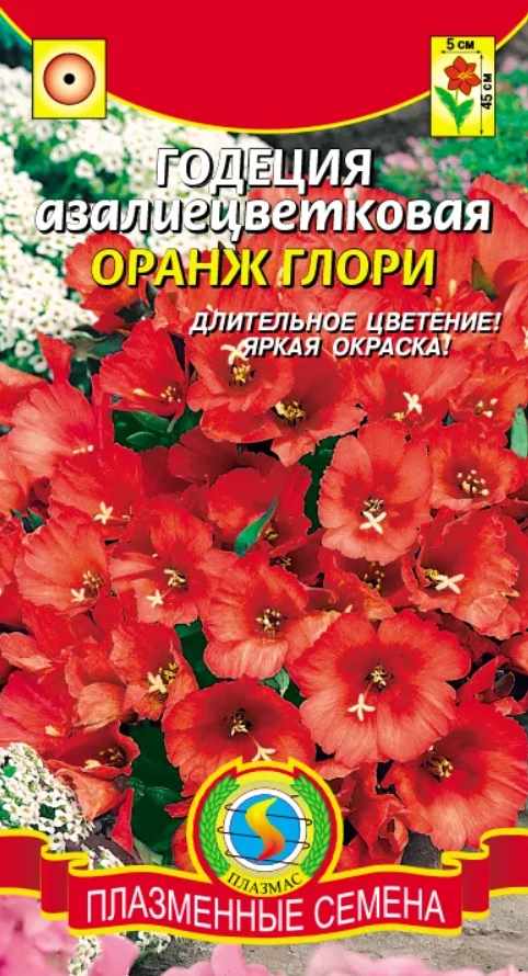 Годеция_Оранж Глори_0,04_г._Плазменные семена