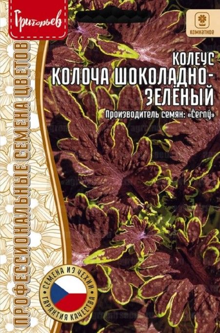 Колеус_Колоча Шоколадно-Зелёный б/ф_4_шт._Григорьев