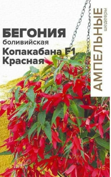 Бегония_Копакабана Красная F1 (боливийская ампельная) б/ф_3_шт._Григорьев