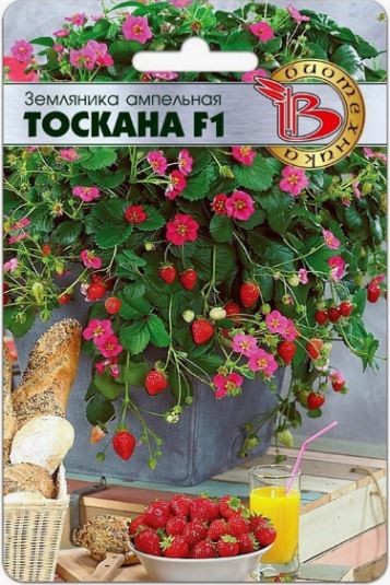 Земляника_Тоскана F1 (кл ампел)_0,04_шт._Биотехника