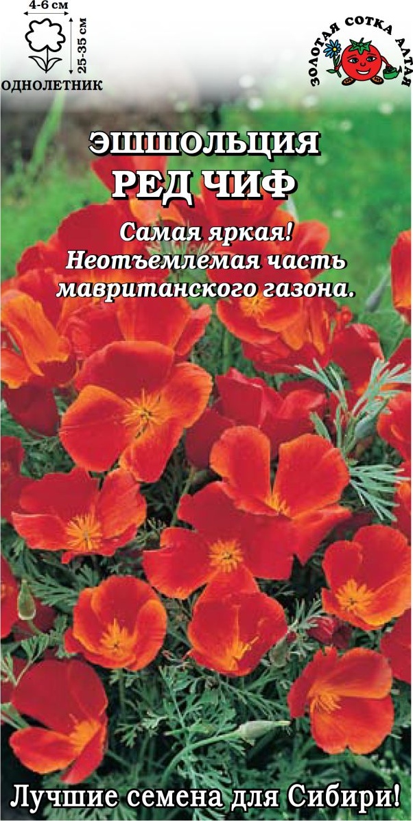 Эшшольция_Ред Чиф_0,2_г._Золотая Сотка Алтая