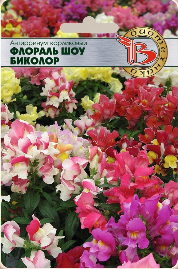 Львиный зев (антирринум)_Флораль Шоу Биколор (карликовый)_15_шт._Биотехника