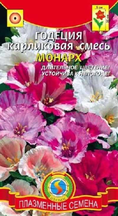 Годеция_Монарх карл см_0,04_г._Плазменные семена