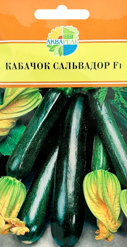 Кабачок_Сальвадор F1_5_шт._Акварель