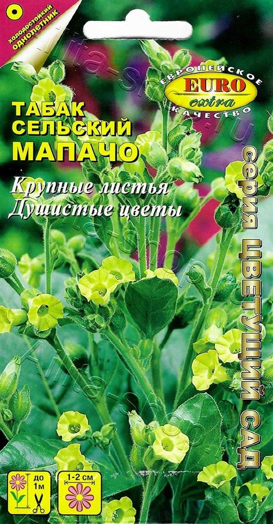 Табак курительный (махорка)_Мапачо сельский_0_г._Аэлита Э