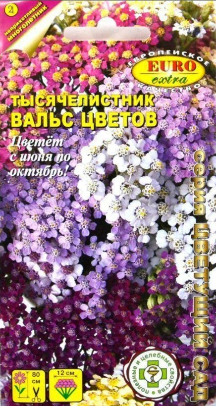 Ахиллея (тысячелистник)_Вальс цветов см_0,1_г._Аэлита Э