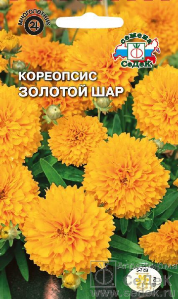 Кореопсис_Золотой Шар_0_г._Седек