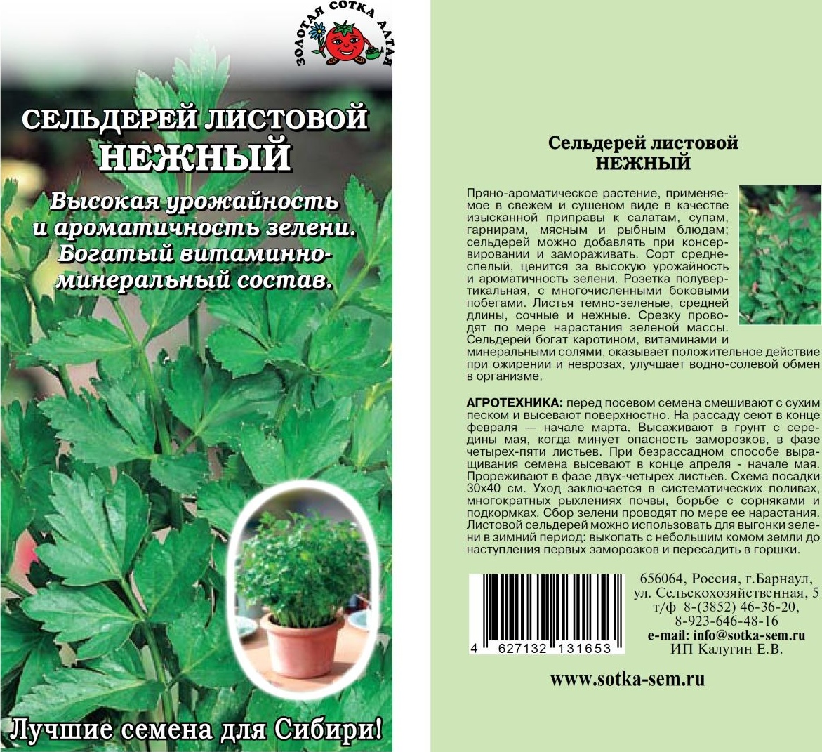 Сельдерей_Нежный (листовой)_0,5_г._Золотая Сотка Алтая