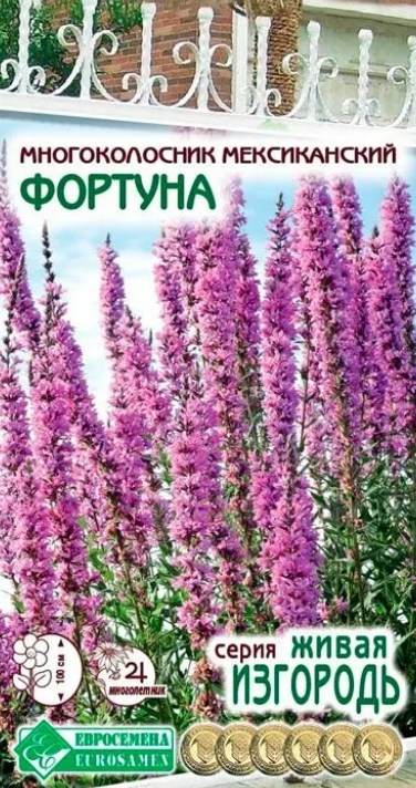 Лофант (многоколосник, мята мексиканская)_Фортуна (Живая Изгородь)_0,04_г._ЕВРОСЕМЕНА