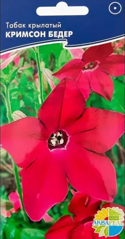 Табак душистый_Кримсон бедер_0,05_г._Акварель