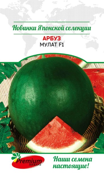 Арбуз_Мулат F1 (Япония)_4_шт._Премиум Сидс