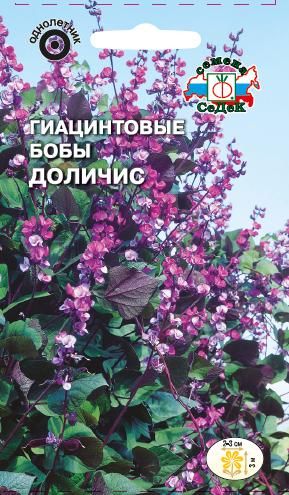 Бобы_Гиацинтовые (долихос) Доличис_1_г._Седек