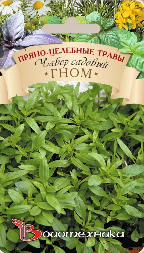 Мята_Пеннироял (стелящаяся)_0,05_г._Биотехника