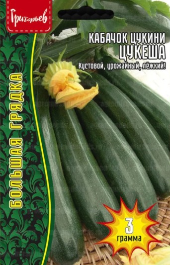 Кабачок_Цукеша (цуккини) б/ф_3_г._Григорьев