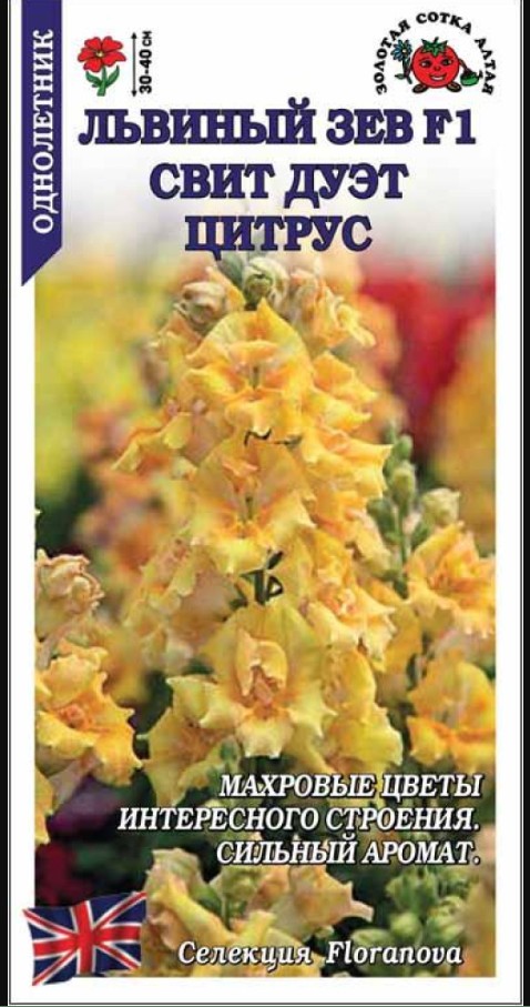 Львиный зев (антирринум)_Свит Дуэт Цитрус_10_шт._Золотая Сотка Алтая