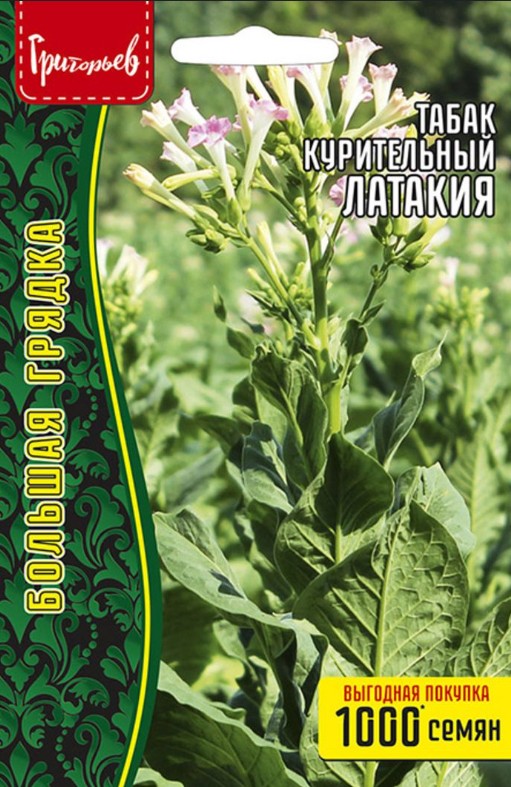 Табак курительный (махорка)_Латакия б/ф_0,1_г._Григорьев