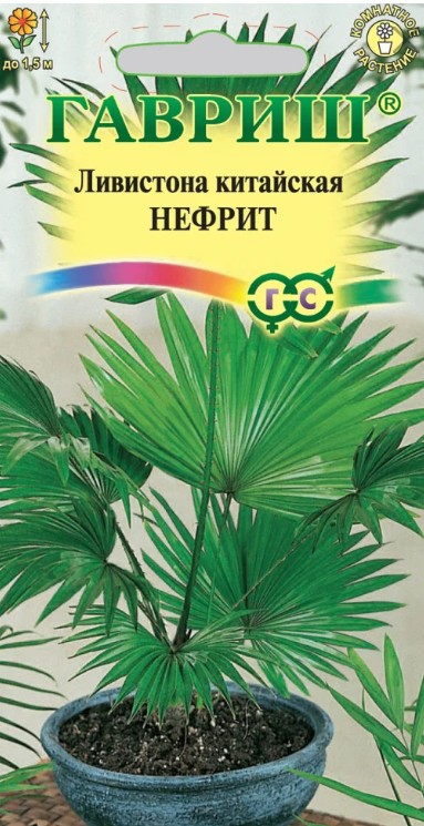 Пальма_Ливистона Нефрит_3_шт._Гавриш