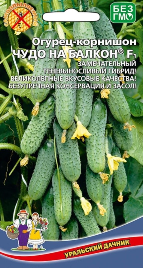 Огурец_Чудо на Балкон F1_6_шт._Уральский Дачник