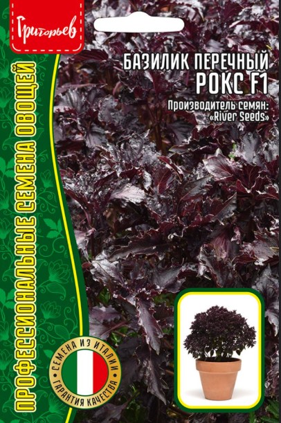 Базилик_Рокс (фиолетовый перечный) б/ф_0,1_г._Григорьев