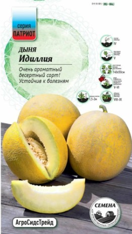 Дыня_Идиллия (ПАТРИОТ)_5_шт._АгроСидсТрейд