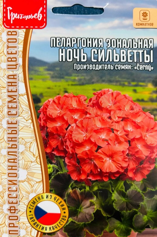 Герань (Пеларгония)_Ночь Сильветты F1 (зональная) б/ф_3_шт._Григорьев