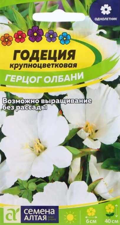 Годеция_Герцог Олбани_0,04_г._Семена Алтая