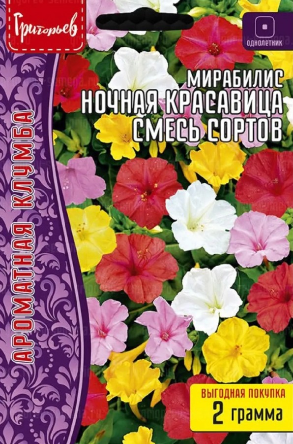 Мирабилис_Ночная Красавица Смесь Сортов б/ф_2_г._Григорьев