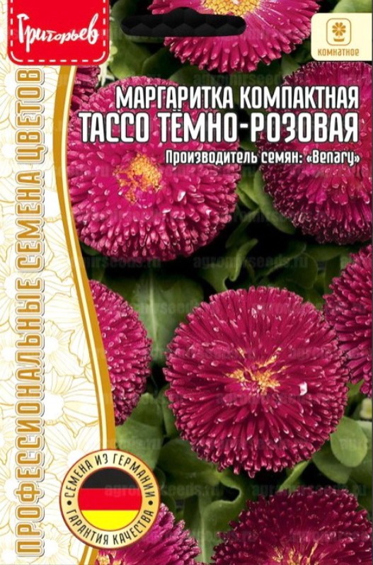 Маргаритка_Тассо Тёмно-Розовая б/ф_5_шт._Григорьев