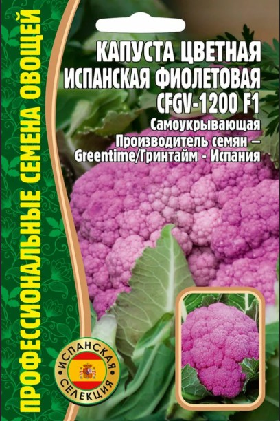 Капуста_цветная_Испанская Фиолетовая б/ф_10_шт._Григорьев