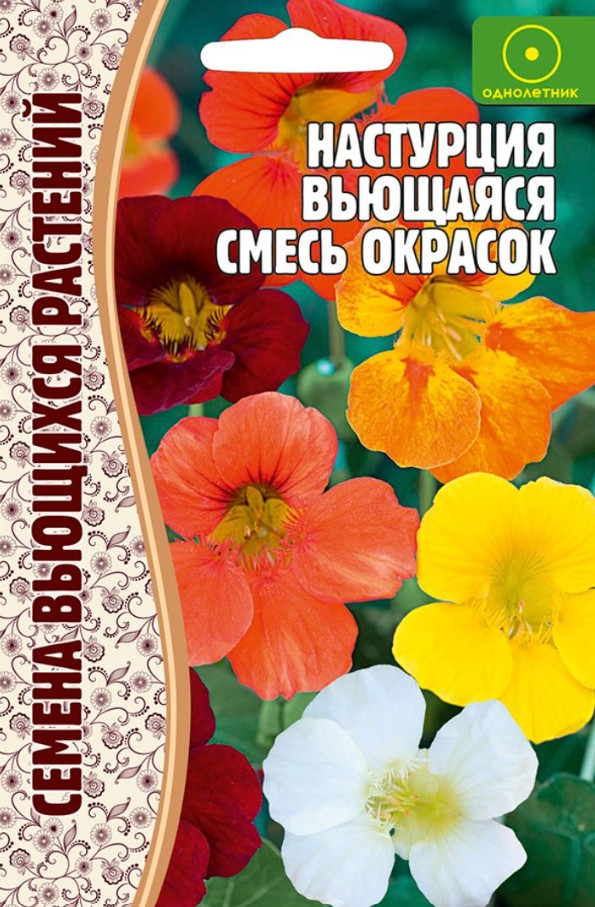 Настурция_Вьющаяся см б/ф_1_г._Григорьев