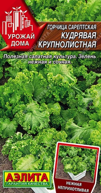 Горчица_Крупнолистная (кудрявая) (сарептская)_0,5_г._Аэлита