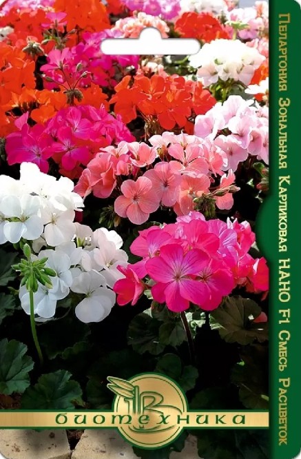 Герань (Пеларгония)_Нано F1 микс (карликовая )_5_шт._Биотехника