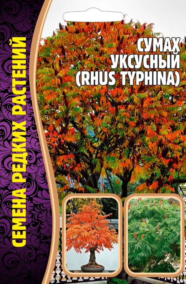 Сумах_Уксусный б/ф_20_шт._Григорьев