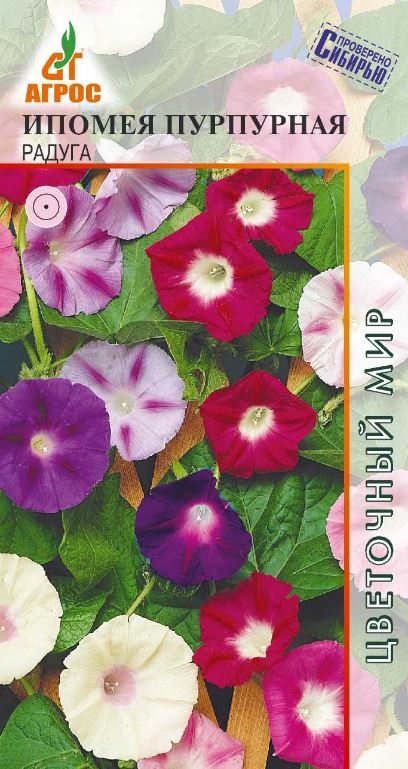 Ипомея_Радуга см (пурпурная)_1_г._АГРОС