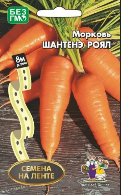 Морковь_Шантанэ Роял_0,04_г._Уральский Дачник