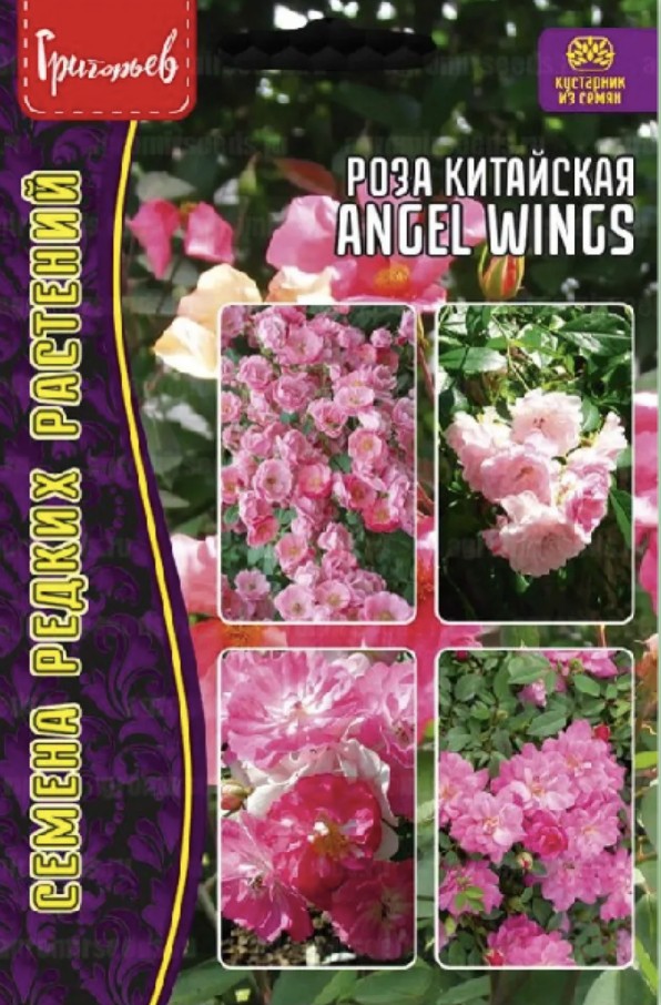 Роза_Angel Wings (китайская) б/ф_7_шт._Григорьев
