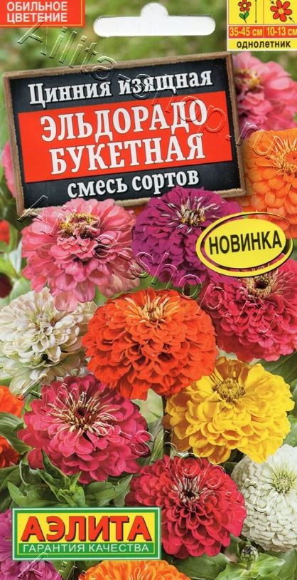 Цинния_Эльдорадо букетная см_12_шт._Аэлита