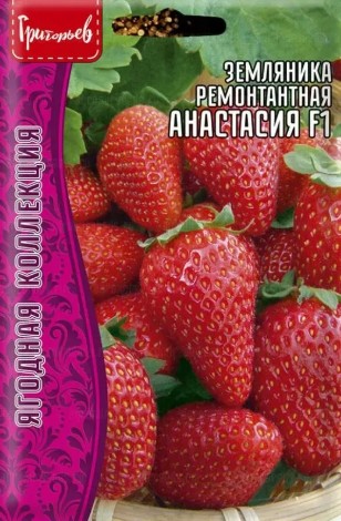 Земляника_Анастасия (кл) б/ф_0,01_г._Григорьев