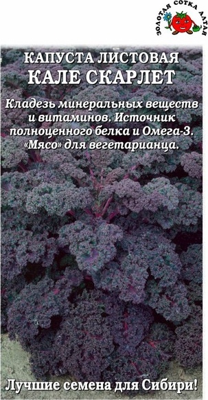 Капуста_листовая_Кале Скарлет (съедобная)_0,2_г._Золотая Сотка Алтая