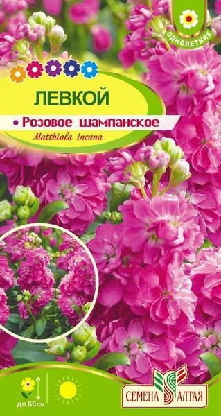Левкой (маттиола)_Розовое шампанское_0,1_г._Семена Алтая