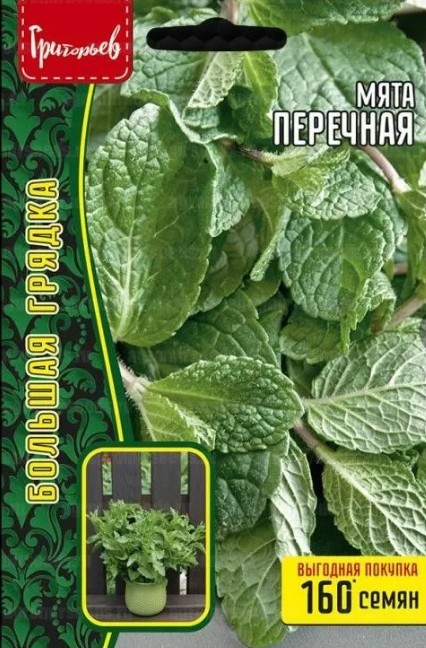Мята_Перечная б/ф_0,1_г._Григорьев