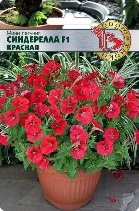 Петуния_Синдерелла F1 Красная (мини)_15_шт._Биотехника