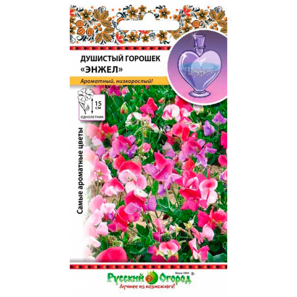 Горошек_Энжел см_6_шт._НК