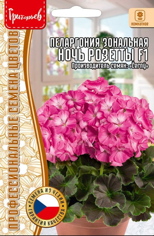 Герань (Пеларгония)_Ночь Розетты F1 (зональная) б/ф_3_шт._Григорьев